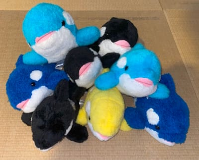 シャチくじのぬいぐるみ８匹