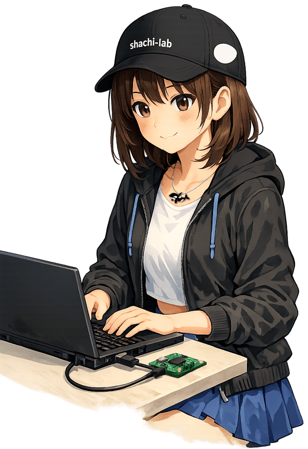 PCでコーディングするろらたんの画像